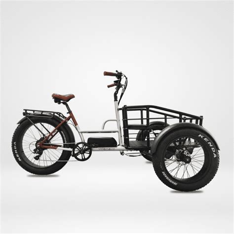 velomove electric cargo trike